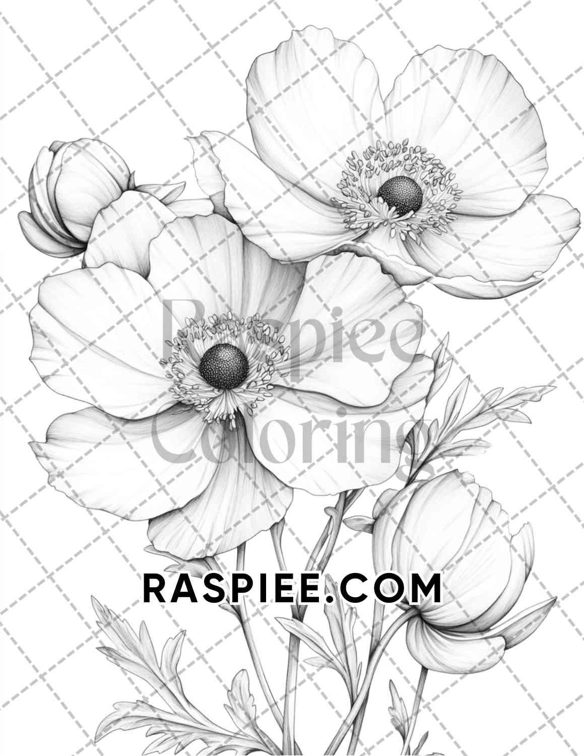 Seasonal Flowers Adult Coloring Pages Printable PDF Instant Download