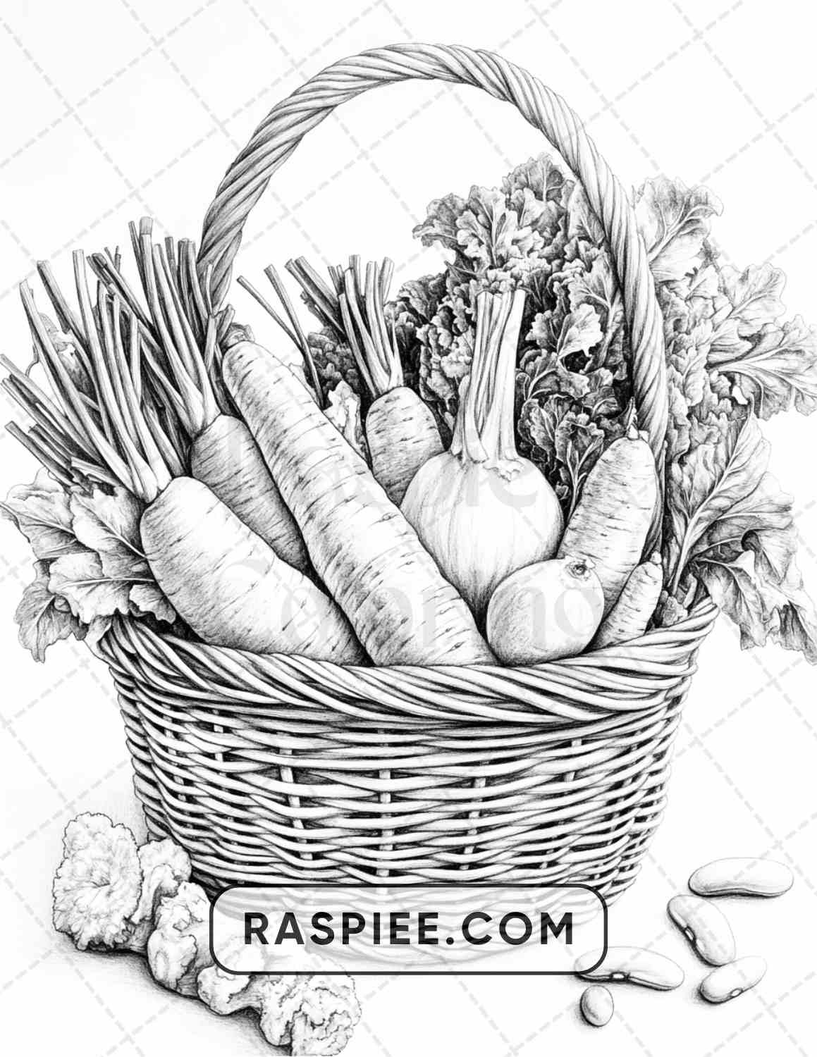 80 Still Life Adult Coloring Pages
