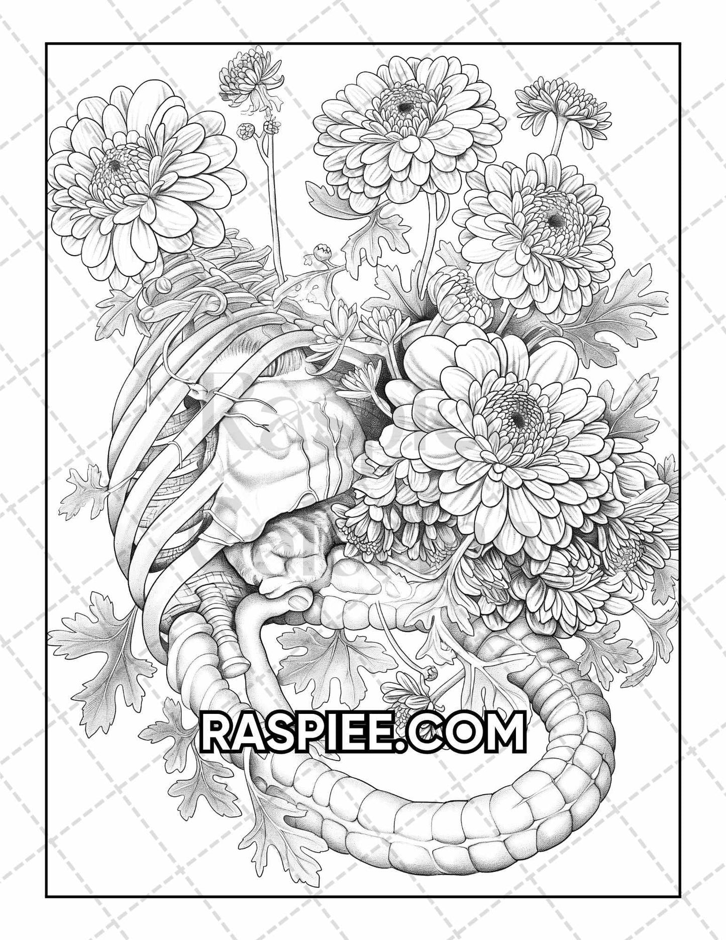 50 Botanical Anatomy Adult Coloring Pages Printable PDF Instant Download