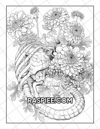 50 Botanical Anatomy Adult Coloring Pages Printable PDF Instant Download