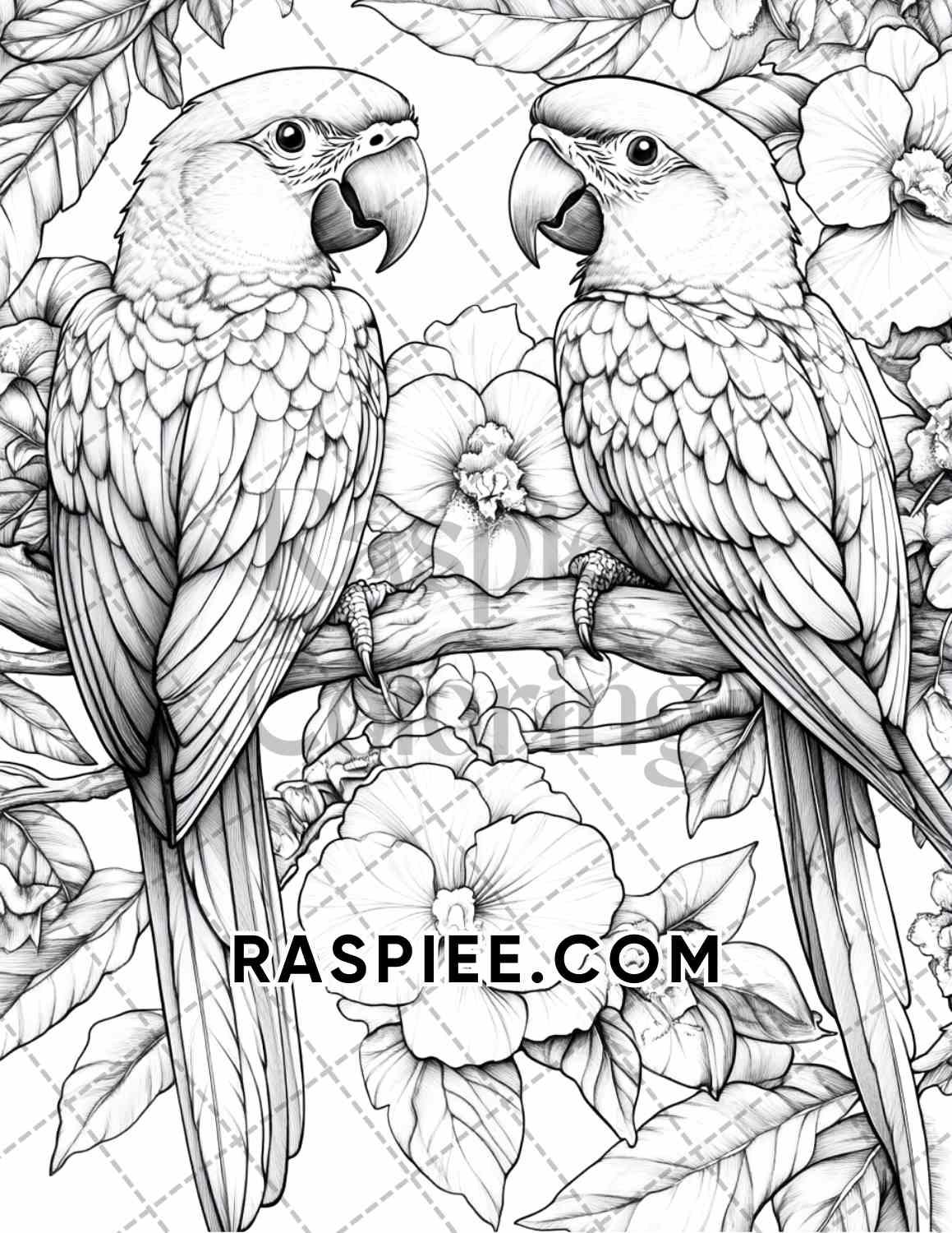 Flowers and Birds Adult Coloring Pages Printable PDF Instant Download