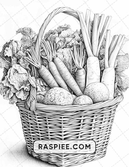 80 Still Life Adult Coloring Pages