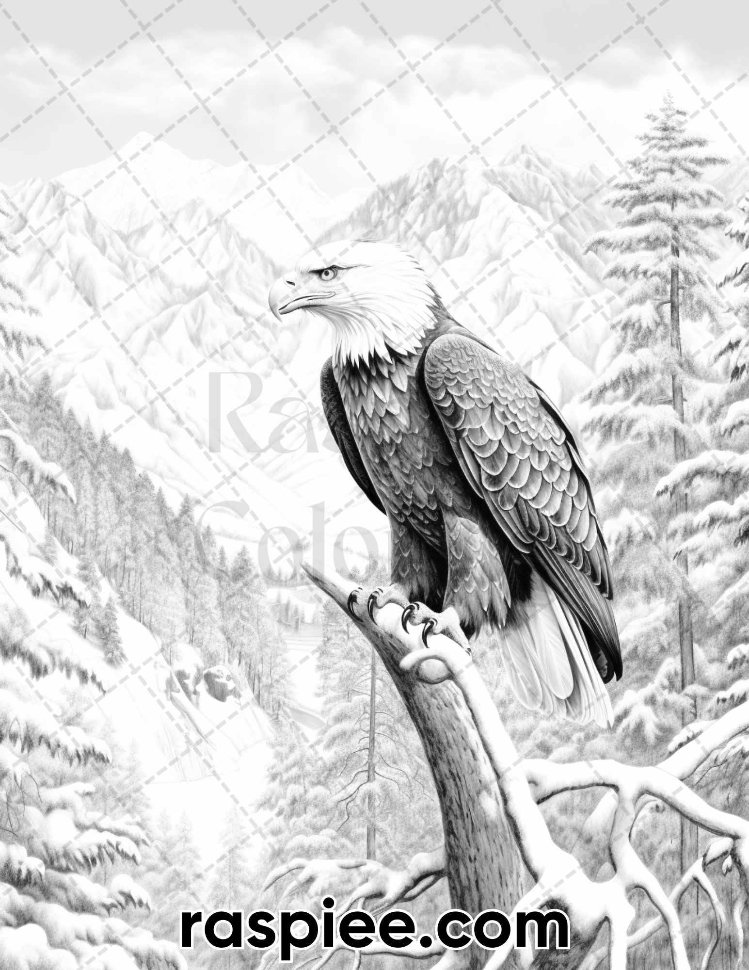 55 Winter Wildlife Grayscale Coloring Pages for Adults, Printable PDF Instant Download