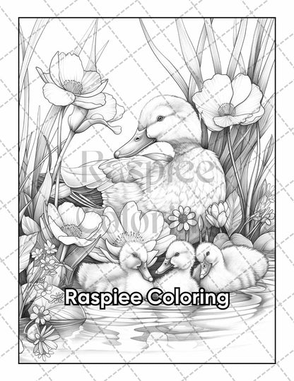 50 Spring Serenity Adult Coloring Pages Printable PDF Instant Download