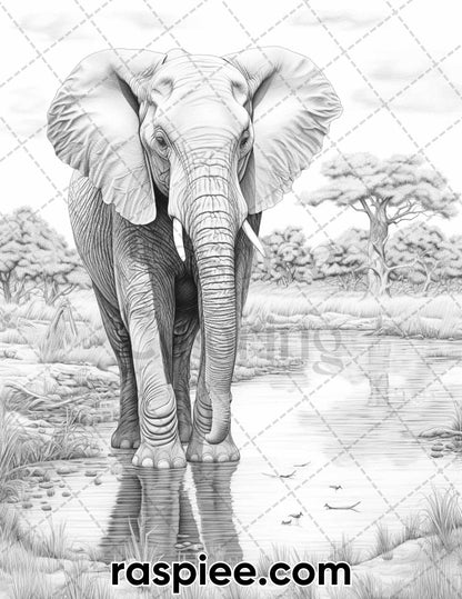 55 Wild Animals Grayscale Coloring Pages for Adults, Printable PDF Instant Download