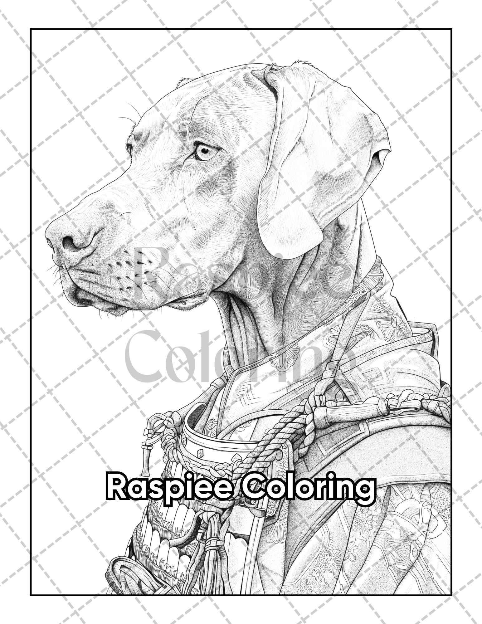 50 Dogs Dressed Up Adult Coloring Pages Printable PDF Instant Download