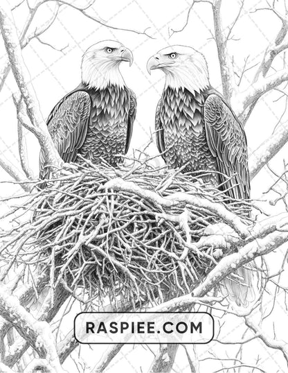80 Winter Birds Adult Coloring Pages