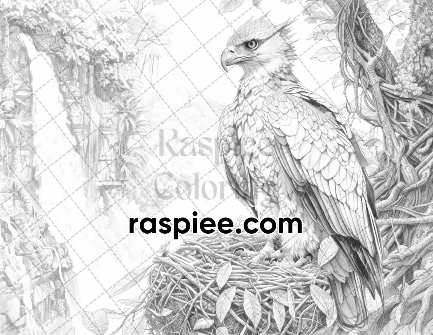 65 Rainforest Waterfall Grayscale Adult Coloring Pages, Printable PDF Instant Download