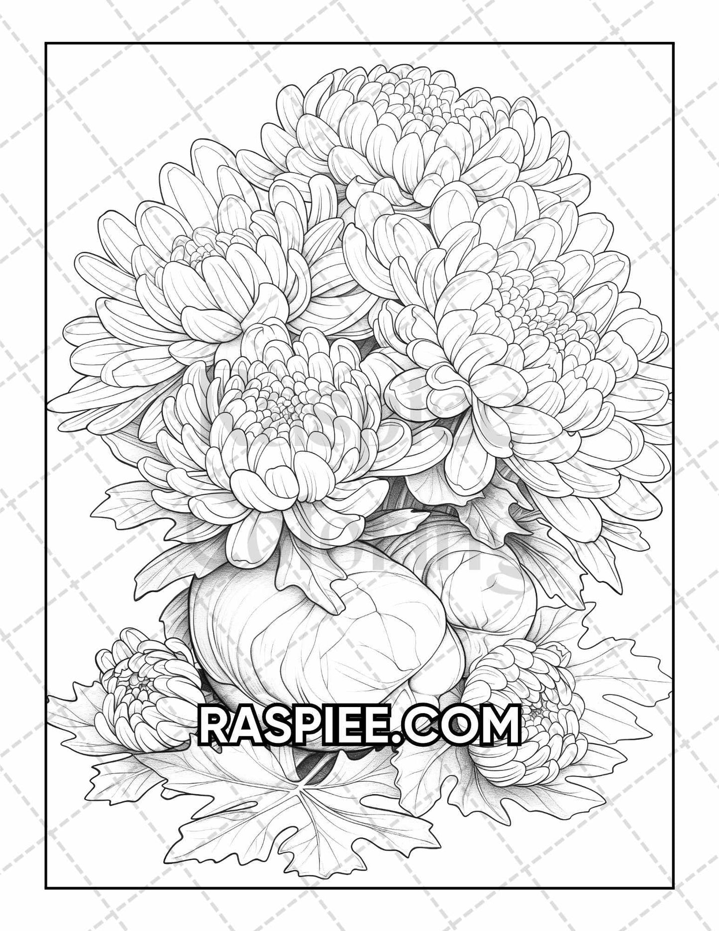 50 Botanical Anatomy Adult Coloring Pages Printable PDF Instant Download