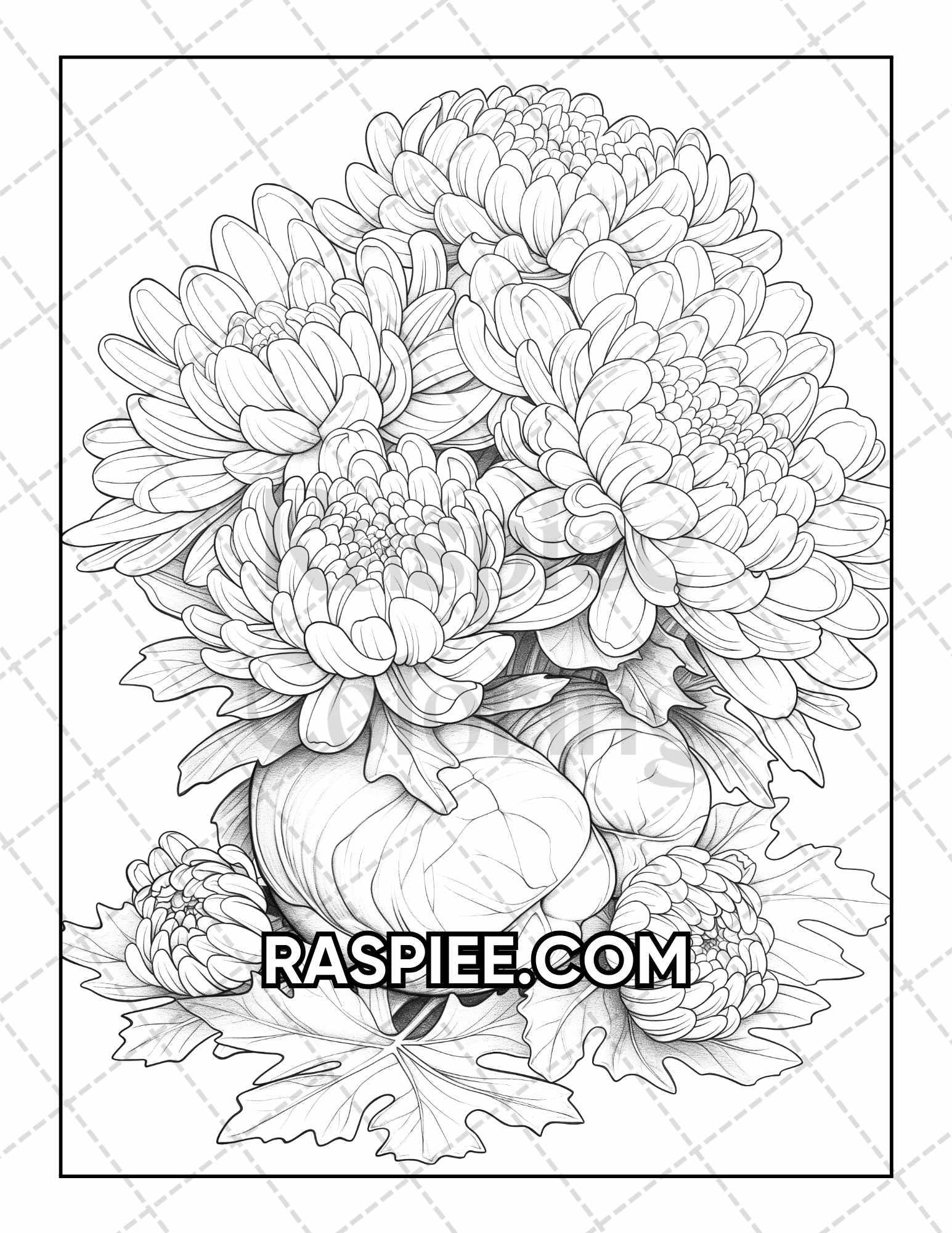 50 Botanical Anatomy Adult Coloring Pages Printable PDF Instant Download