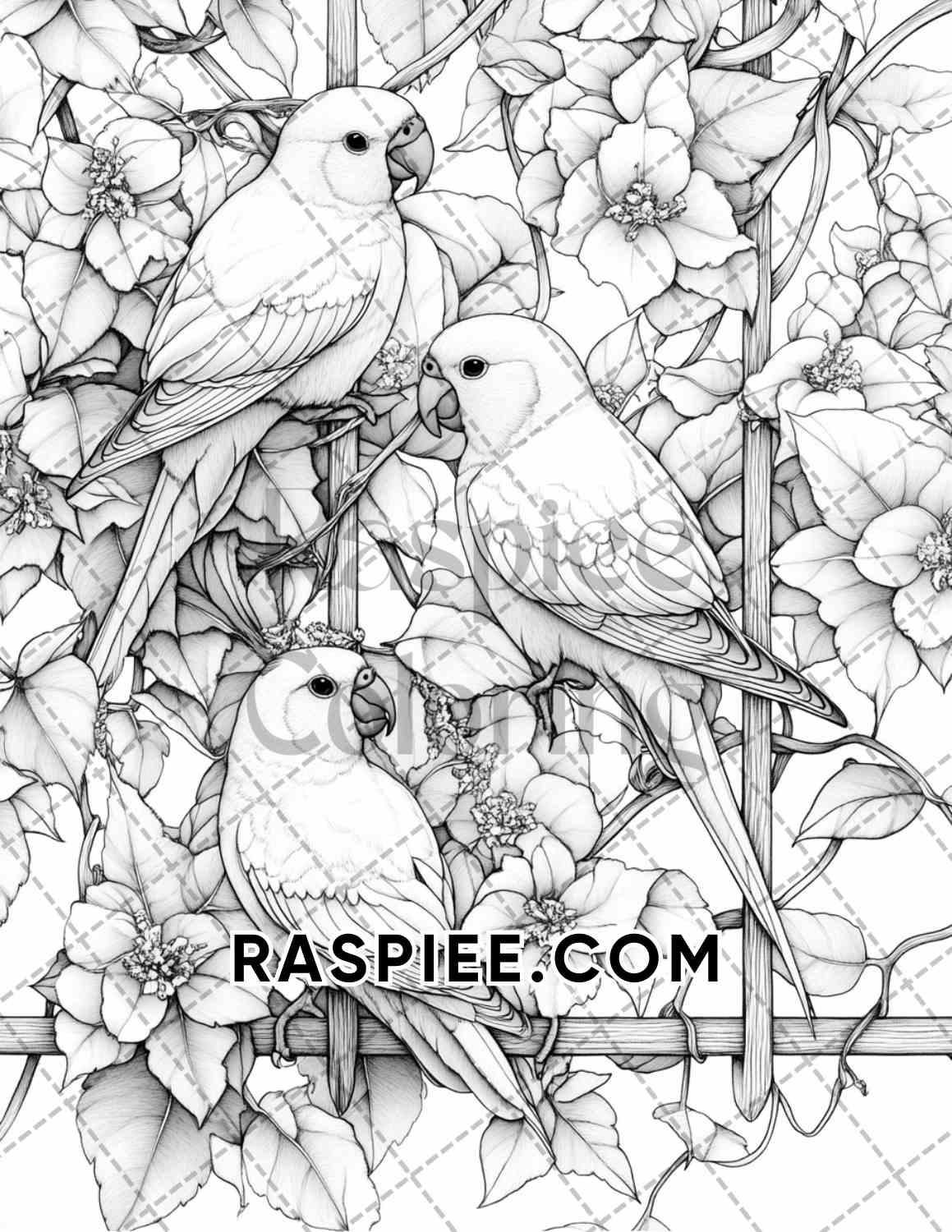 Flowers and Birds Adult Coloring Pages Printable PDF Instant Download