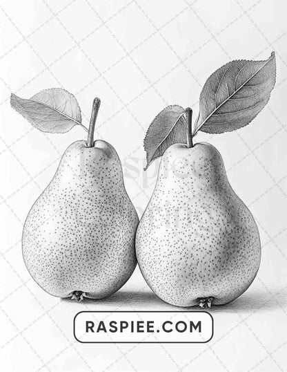 80 Still Life Adult Coloring Pages