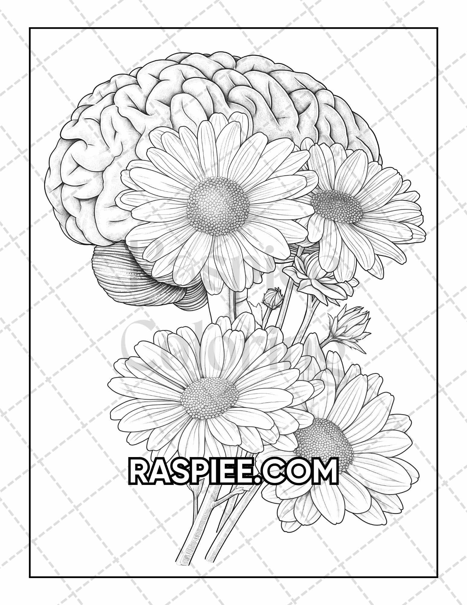 50 Botanical Anatomy Adult Coloring Pages Printable PDF Instant Download