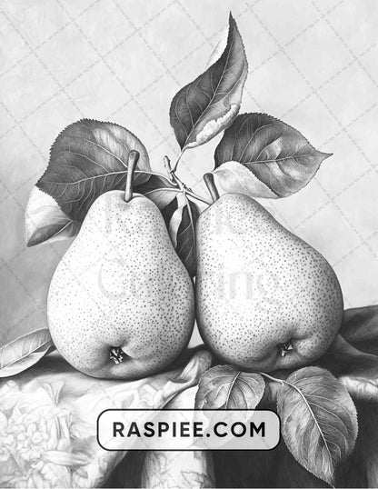 80 Still Life Adult Coloring Pages