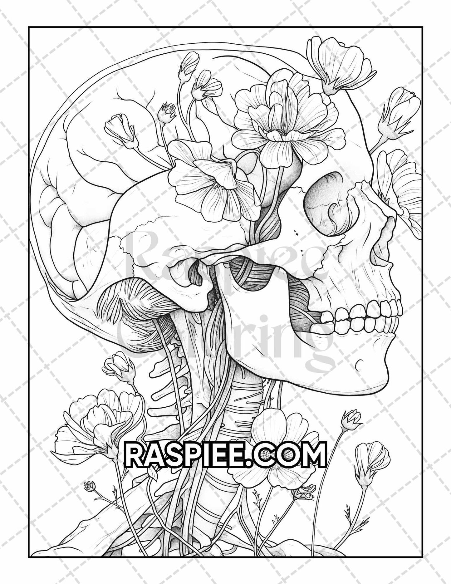 50 Botanical Anatomy Adult Coloring Pages Printable PDF Instant Download