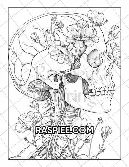 50 Botanical Anatomy Adult Coloring Pages Printable PDF Instant Download