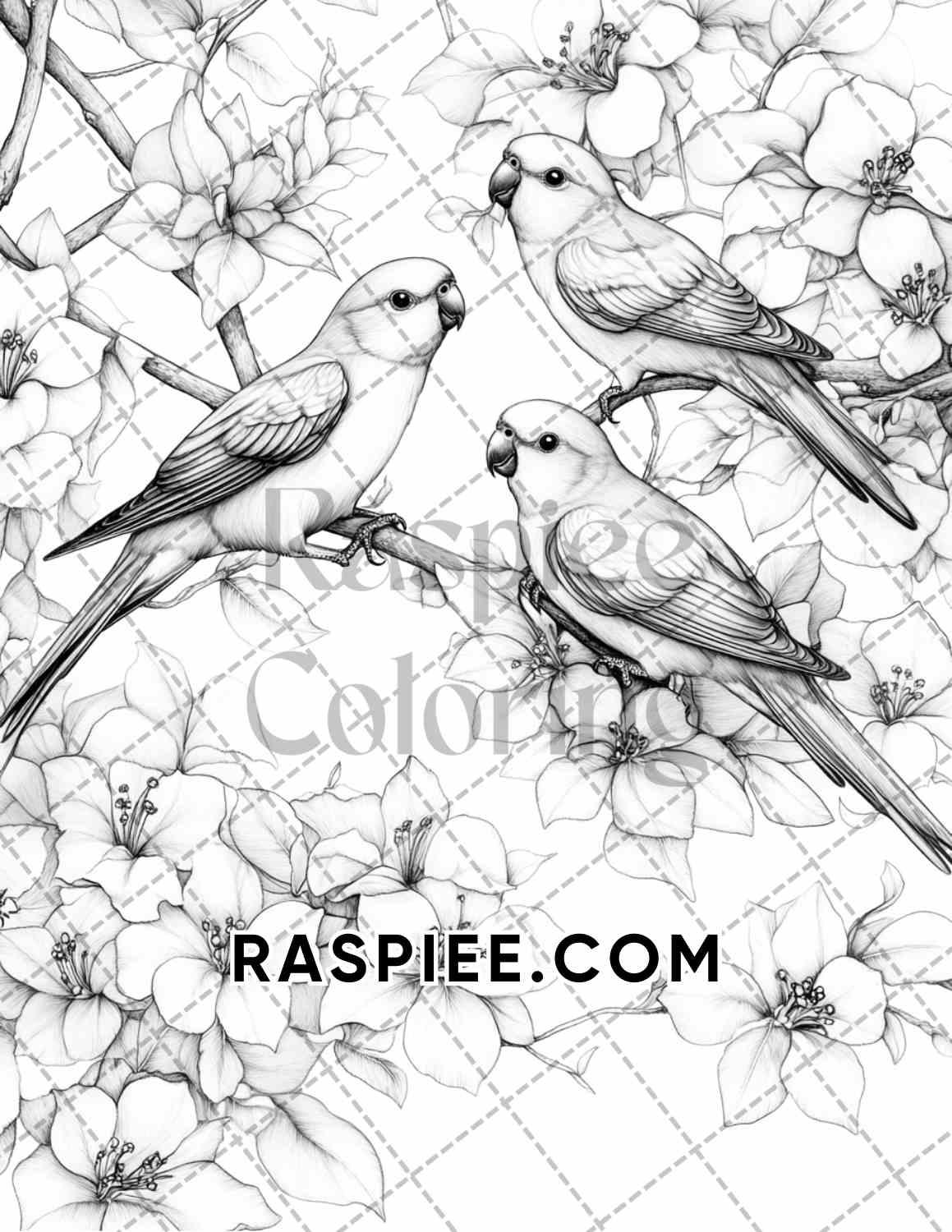 Flowers and Birds Adult Coloring Pages Printable PDF Instant Download