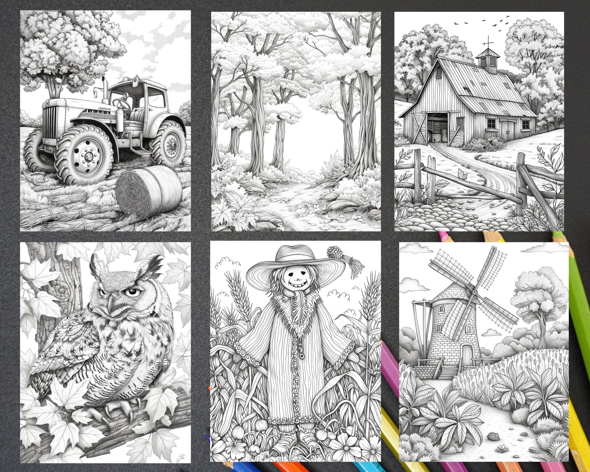 60 Relaxing Autumn Grayscale Adult Coloring Pages Printable PDF Instant Download