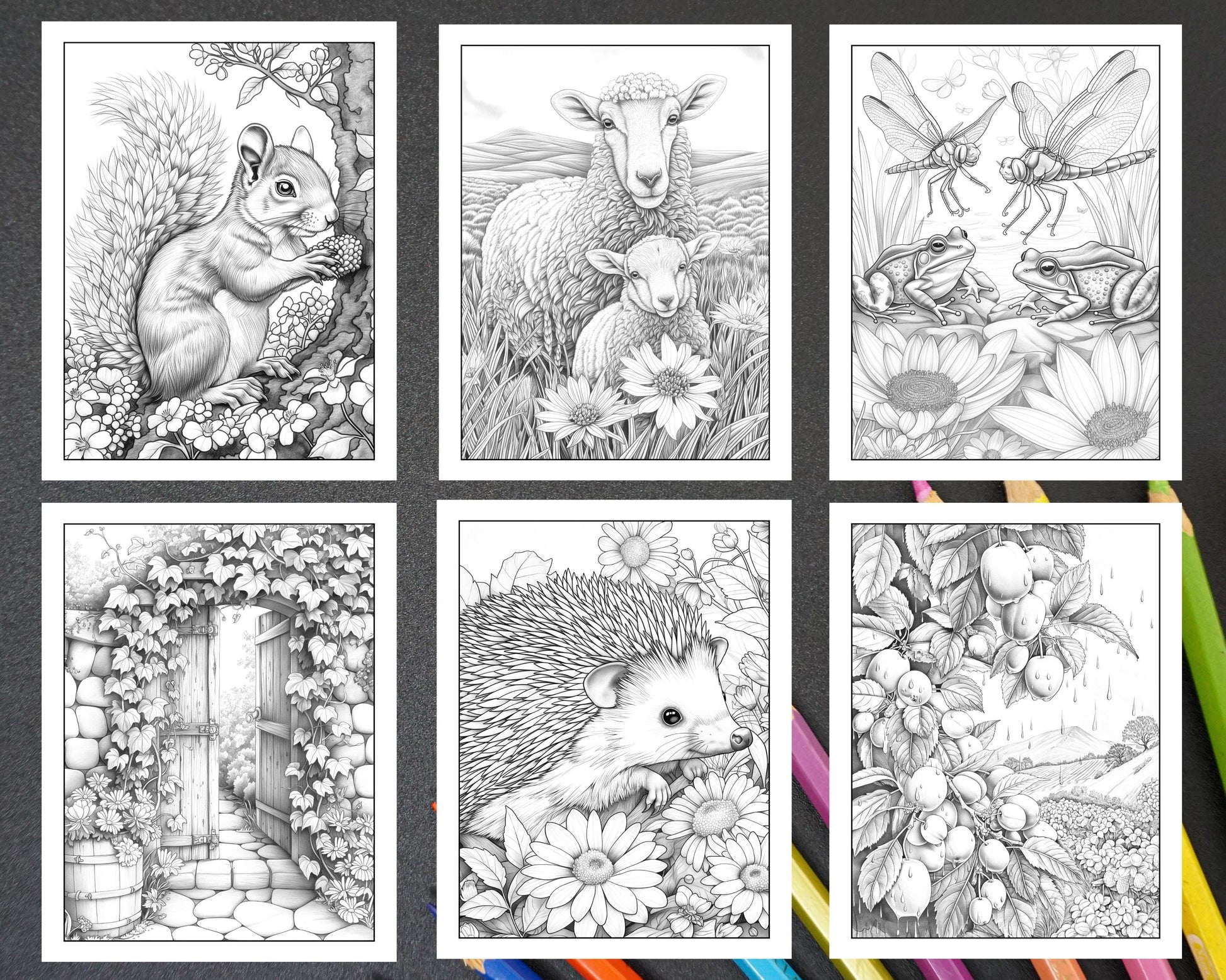 50 Spring Serenity Adult Coloring Pages Printable PDF Instant Download