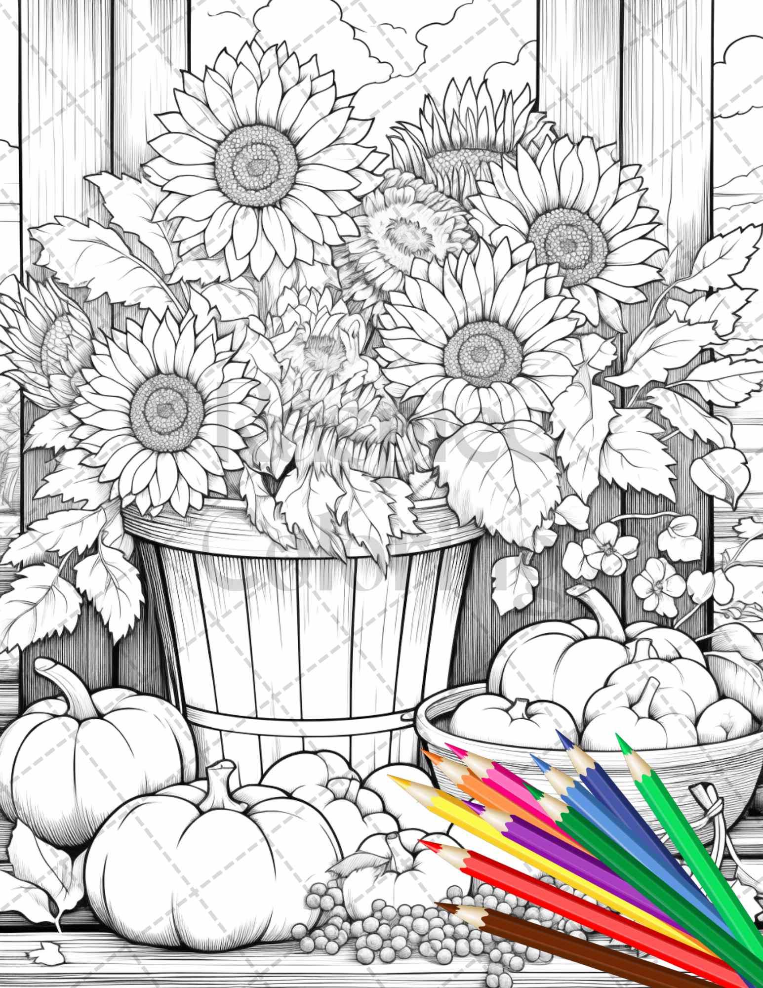Autumn Harvest Grayscale Coloring Pages Printable for Adults, Relaxing Fall Themed Art, PDF File Instant Download