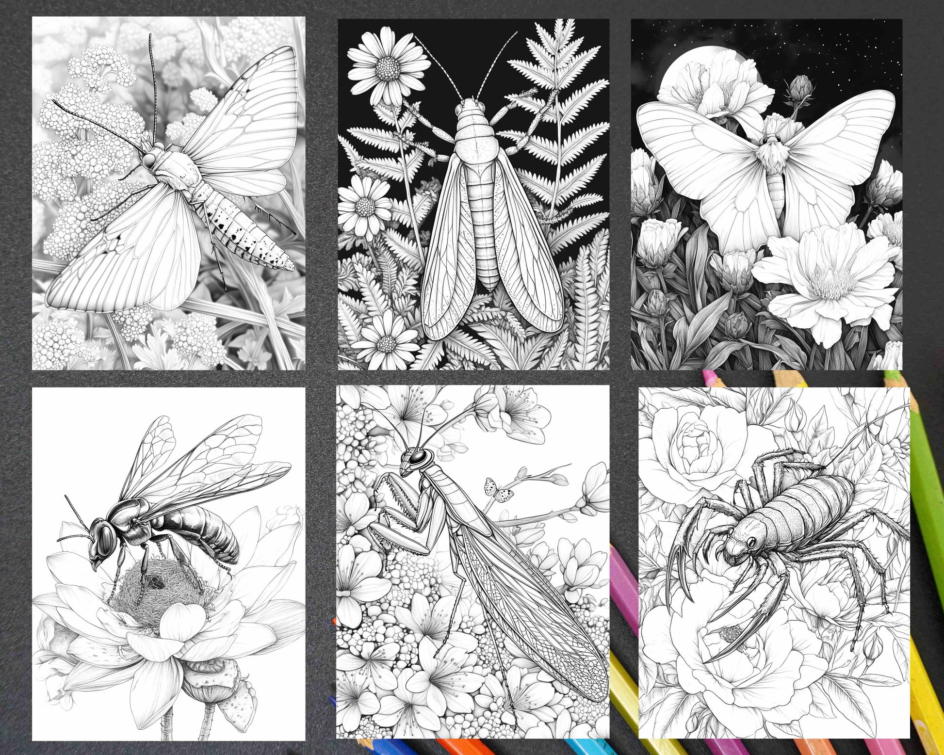Insects and Flowers Adult Coloring Pages