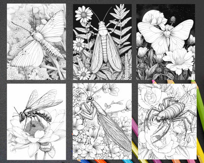 Insects and Flowers Adult Coloring Pages