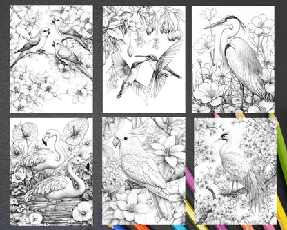 Flowers and Birds Adult Coloring Pages Printable PDF Instant Download
