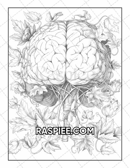 50 Botanical Anatomy Adult Coloring Pages Printable PDF Instant Download