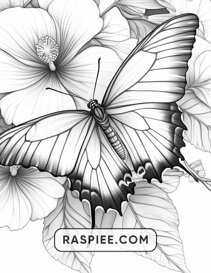 Insects and Flowers Adult Coloring Pages