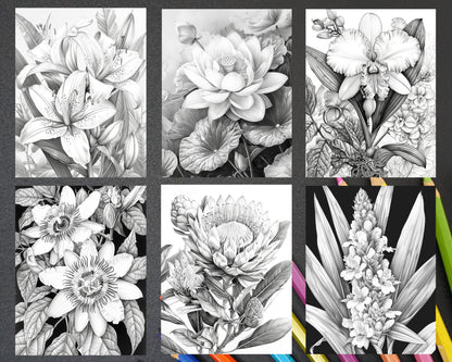 65 Tropical Flowers Grayscale Adult Coloring Pages Printable PDF Instant Download