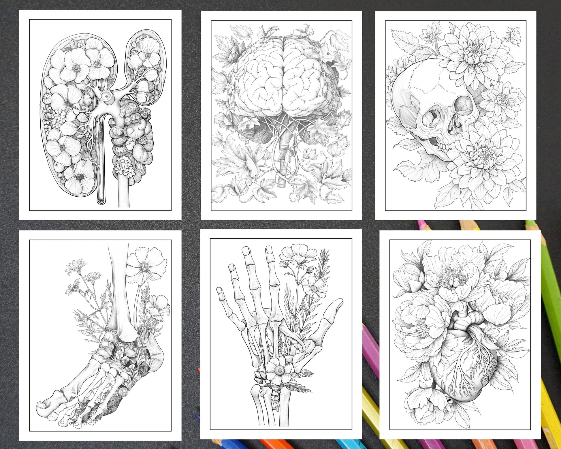 50 Botanical Anatomy Adult Coloring Pages Printable PDF Instant Download