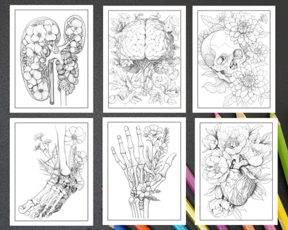 50 Botanical Anatomy Adult Coloring Pages Printable PDF Instant Download