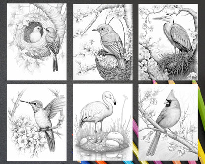 60 Spring Birds Grayscale Adult Coloring Pages, Printable PDF Instant Download