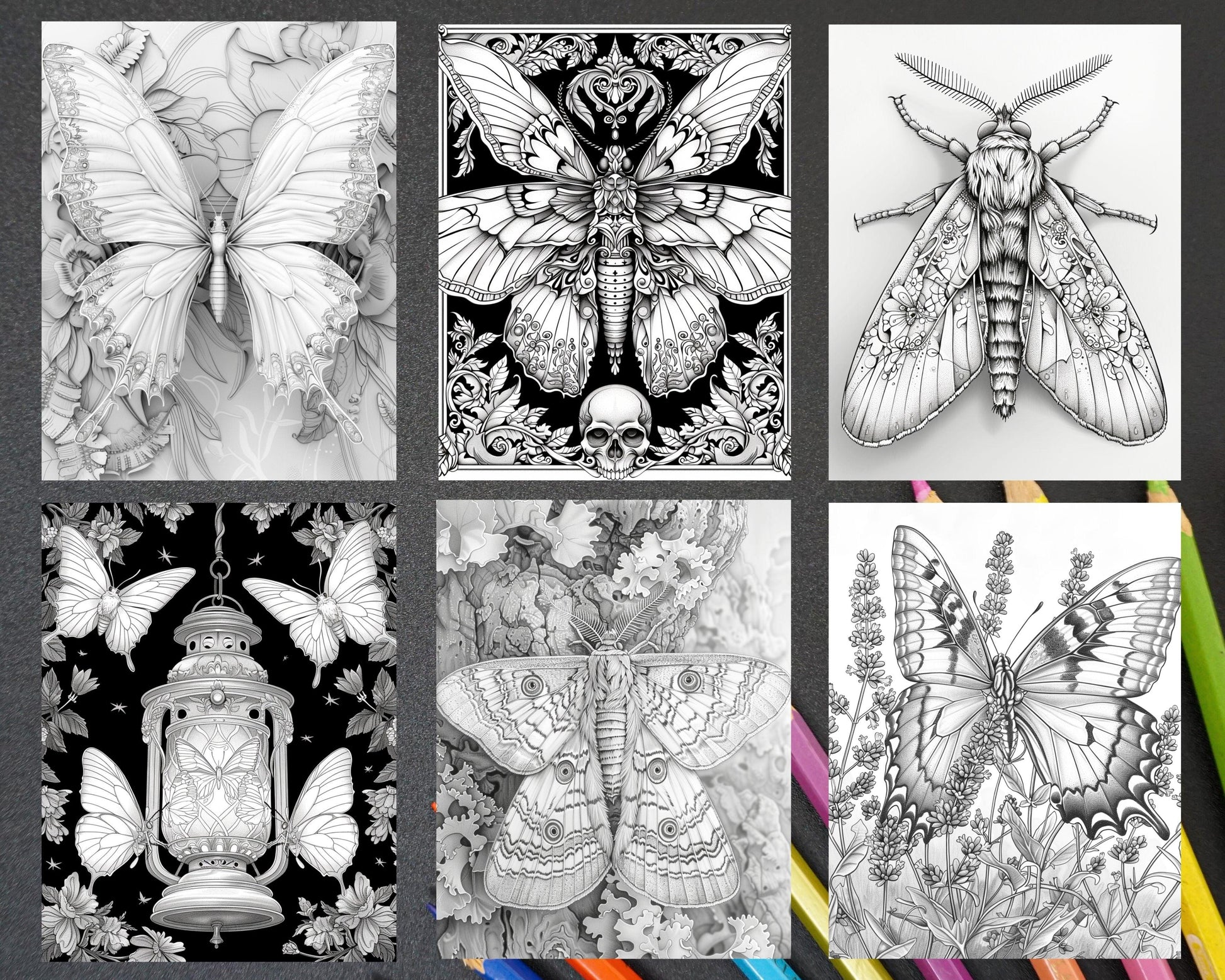 77 Butterflies and Moths Grayscale Adult Coloring Pages, Printable PDF Instant Download