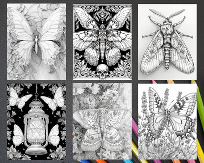 77 Butterflies and Moths Grayscale Adult Coloring Pages, Printable PDF Instant Download