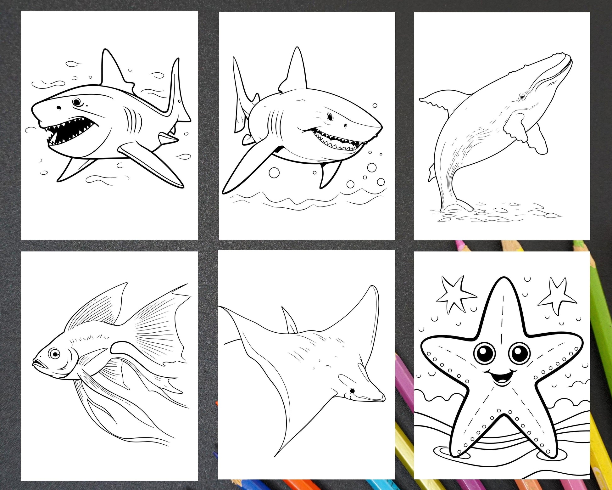 230 Ocean Animal Coloring Pages for Kids, Educational Preschool Printable PDF Instant Download