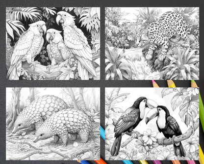 65 Rainforest Waterfall Grayscale Adult Coloring Pages, Printable PDF Instant Download