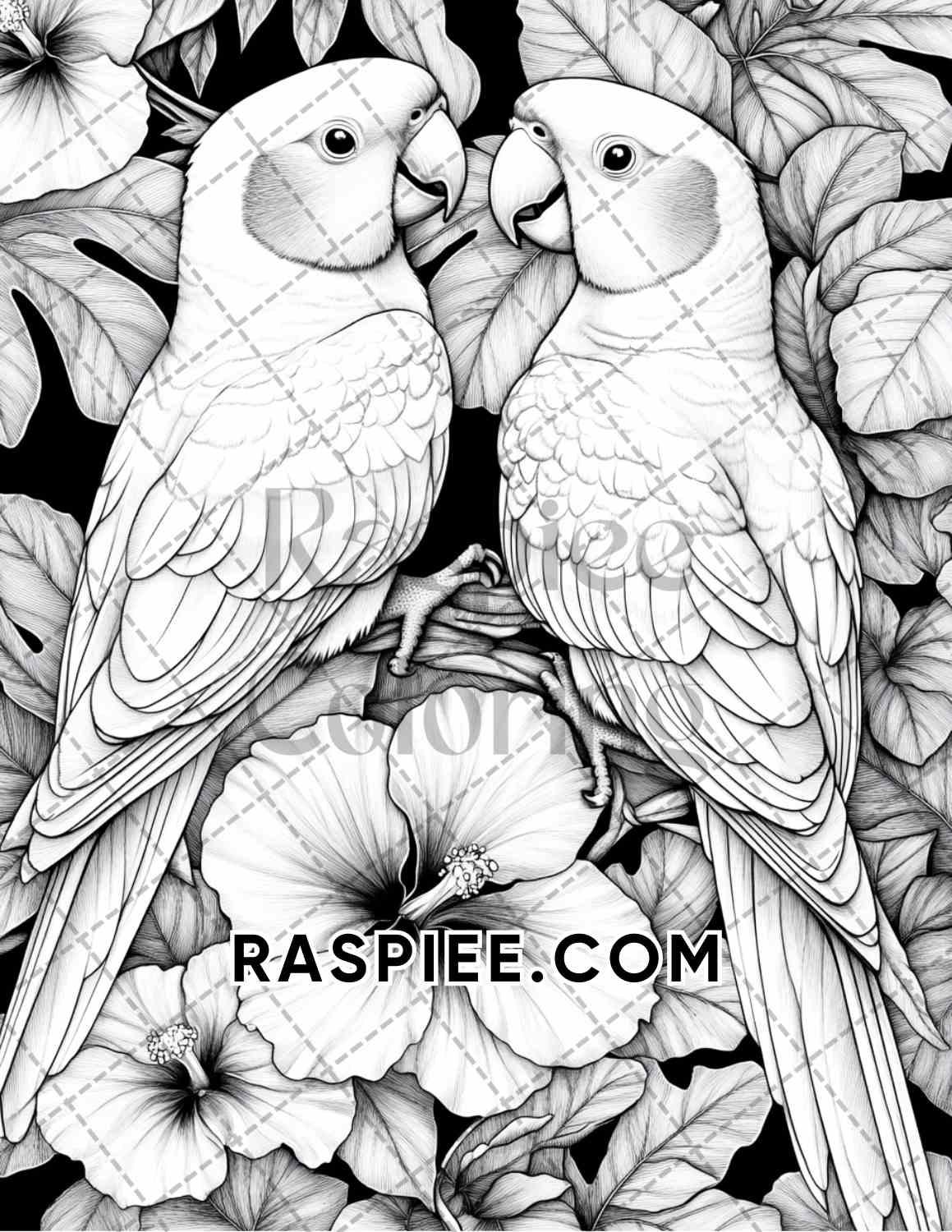 Flowers and Birds Adult Coloring Pages Printable PDF Instant Download