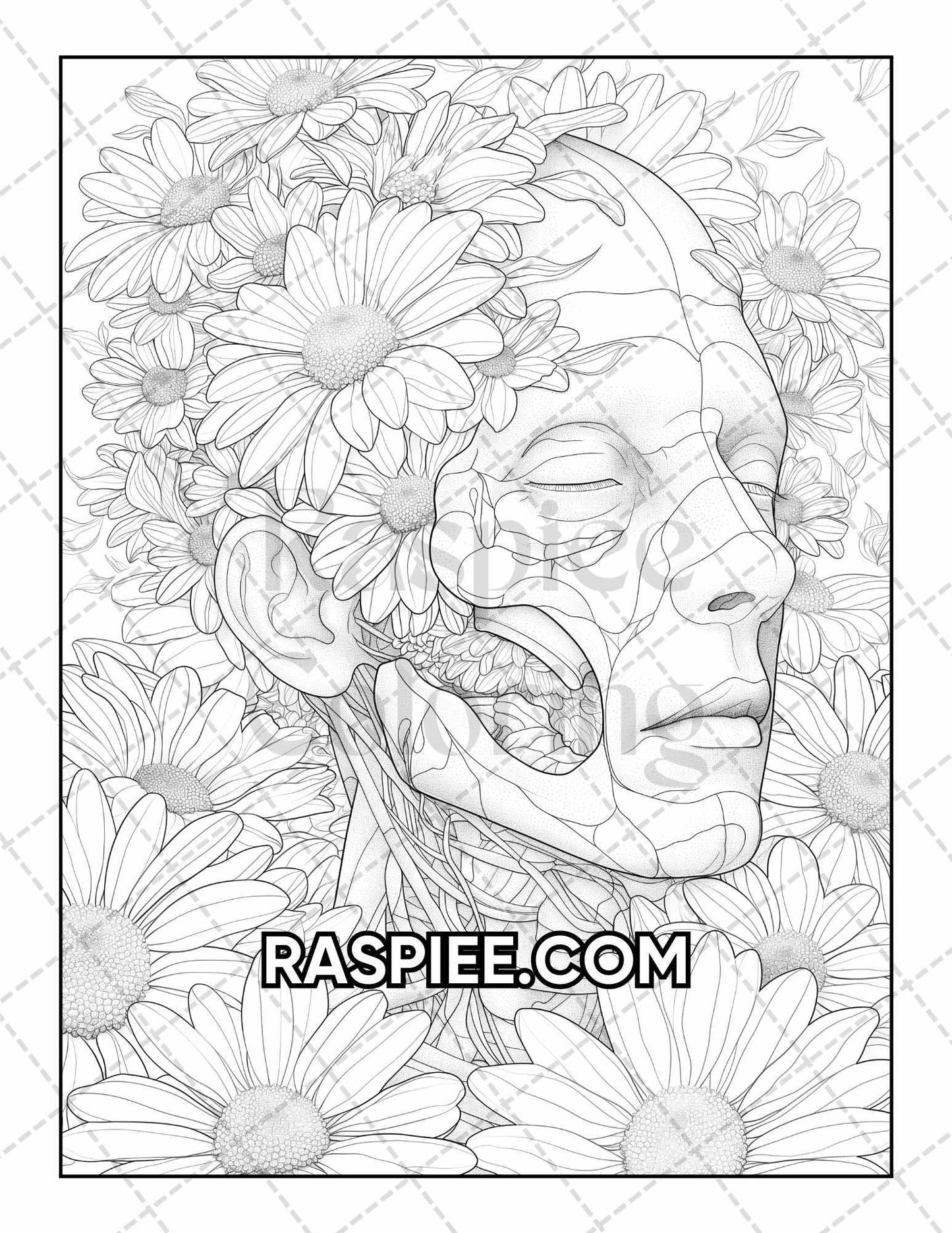 50 Botanical Anatomy Adult Coloring Pages Printable PDF Instant Download