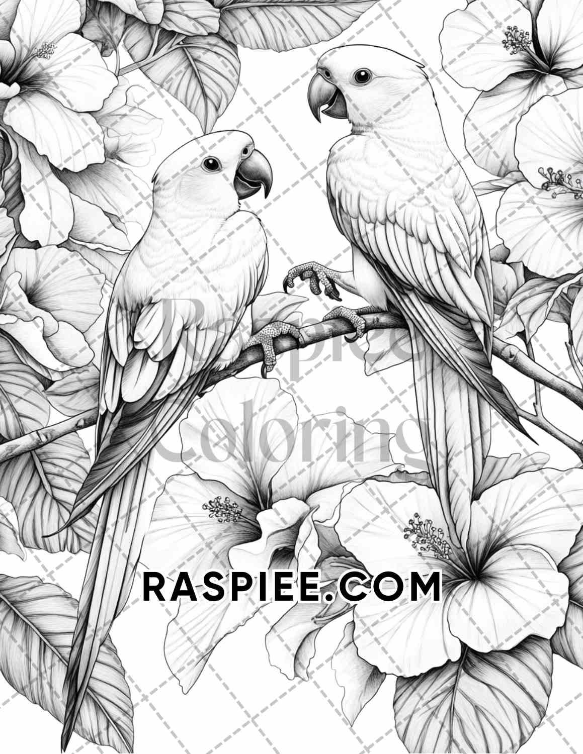 Flowers and Birds Adult Coloring Pages Printable PDF Instant Download