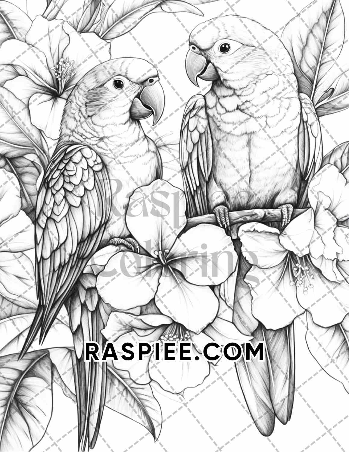 Flowers and Birds Adult Coloring Pages Printable PDF Instant Download