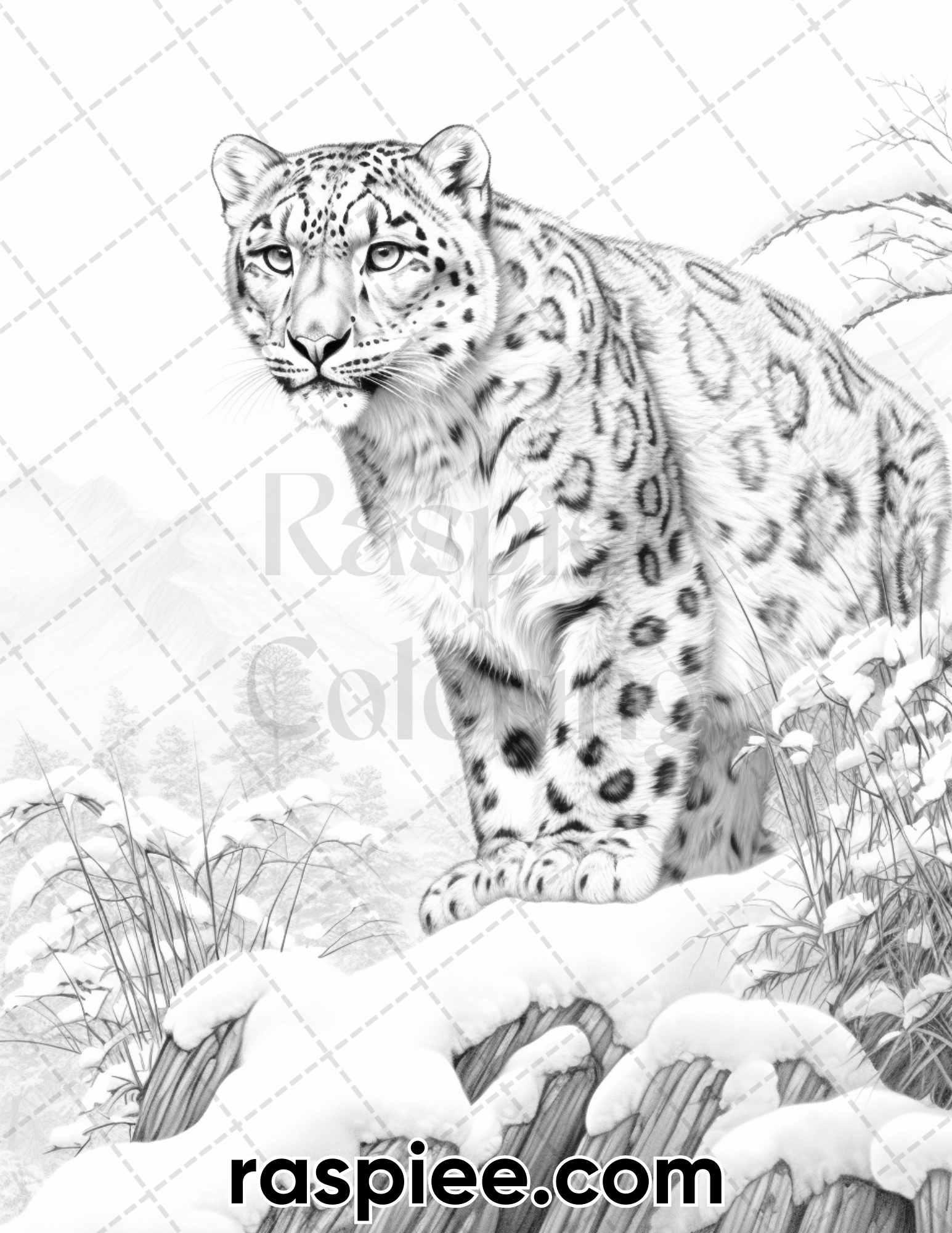 55 Winter Wildlife Grayscale Coloring Pages for Adults, Printable PDF Instant Download