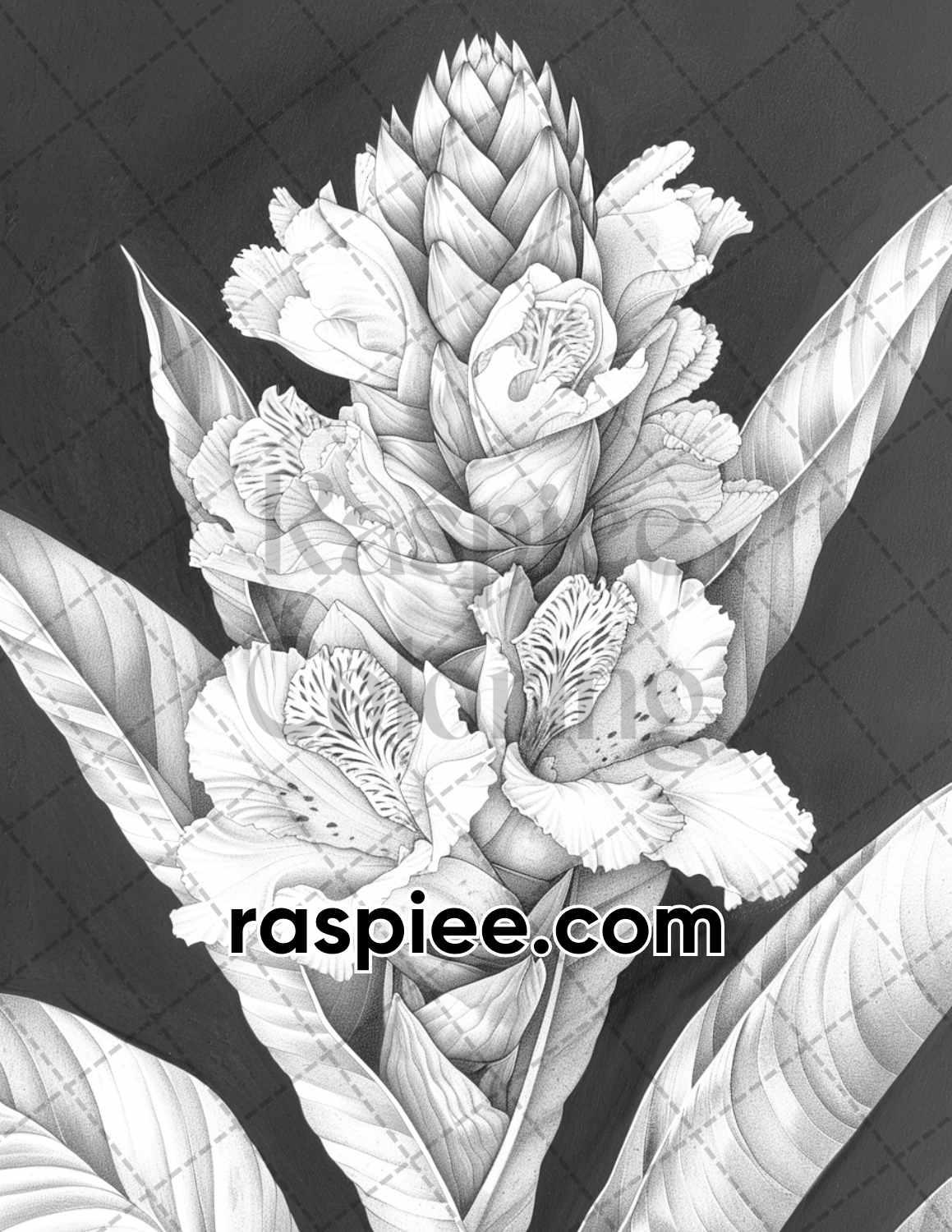 65 Tropical Flowers Grayscale Adult Coloring Pages Printable PDF Instant Download