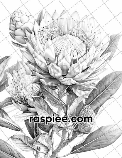 65 Tropical Flowers Grayscale Adult Coloring Pages Printable PDF Instant Download