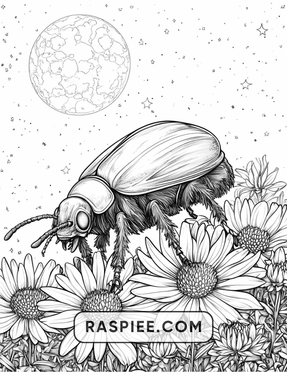 Insects and Flowers Adult Coloring Pages