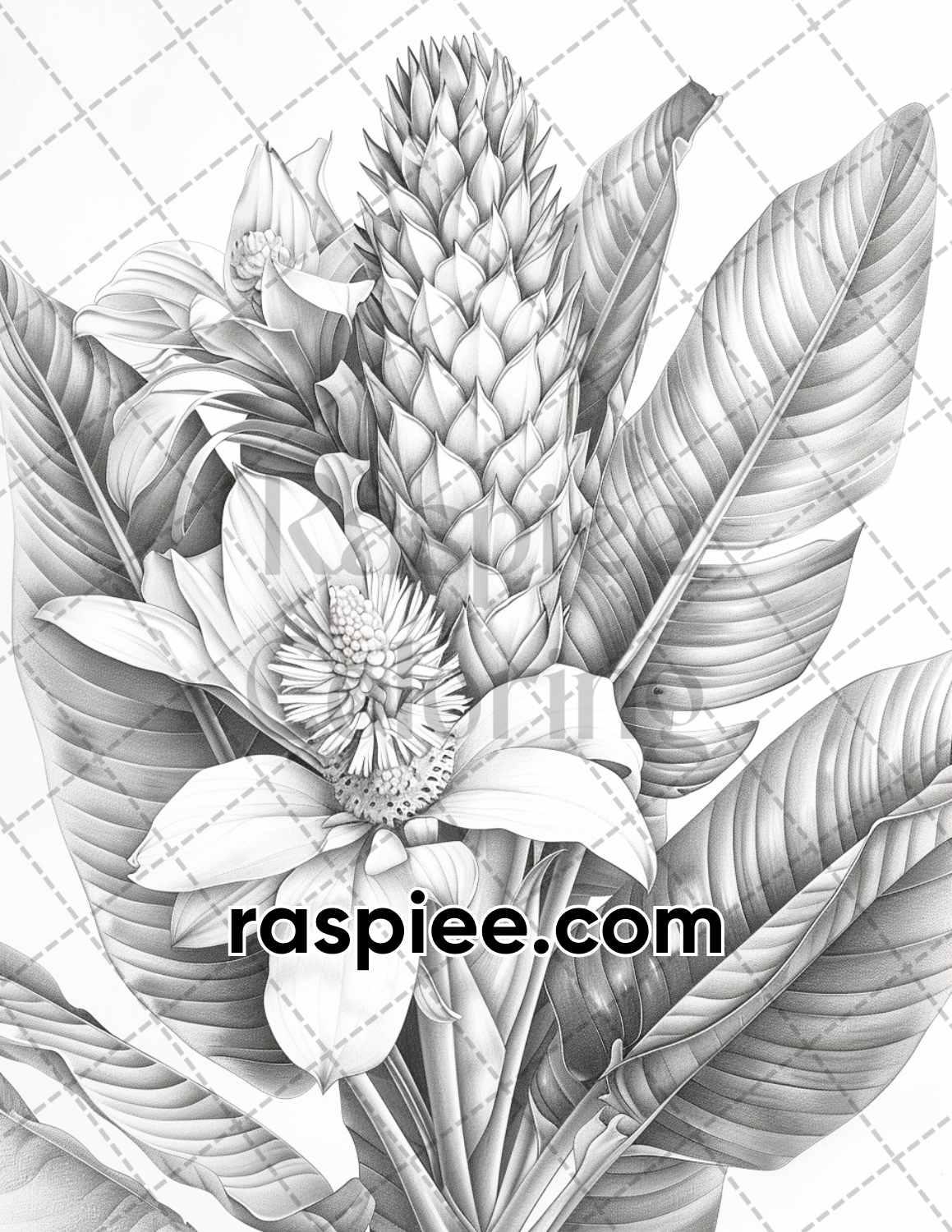 65 Tropical Flowers Grayscale Adult Coloring Pages Printable PDF Instant Download