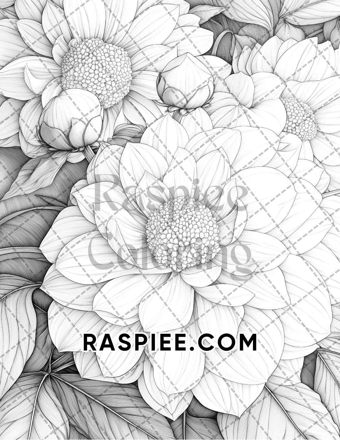 Fall Flowers Adult Coloring Pages Printable PDF Instant Download