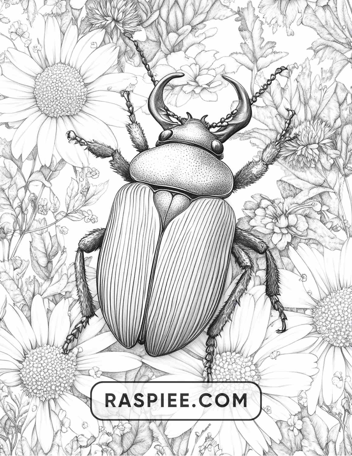 Insects and Flowers Adult Coloring Pages