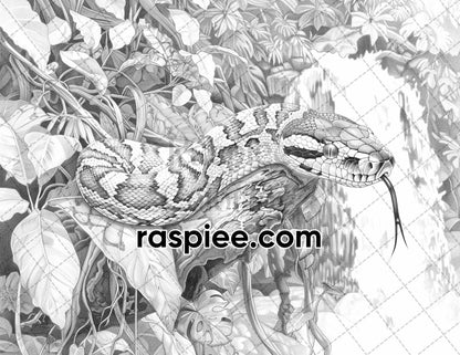 65 Rainforest Waterfall Grayscale Adult Coloring Pages, Printable PDF Instant Download