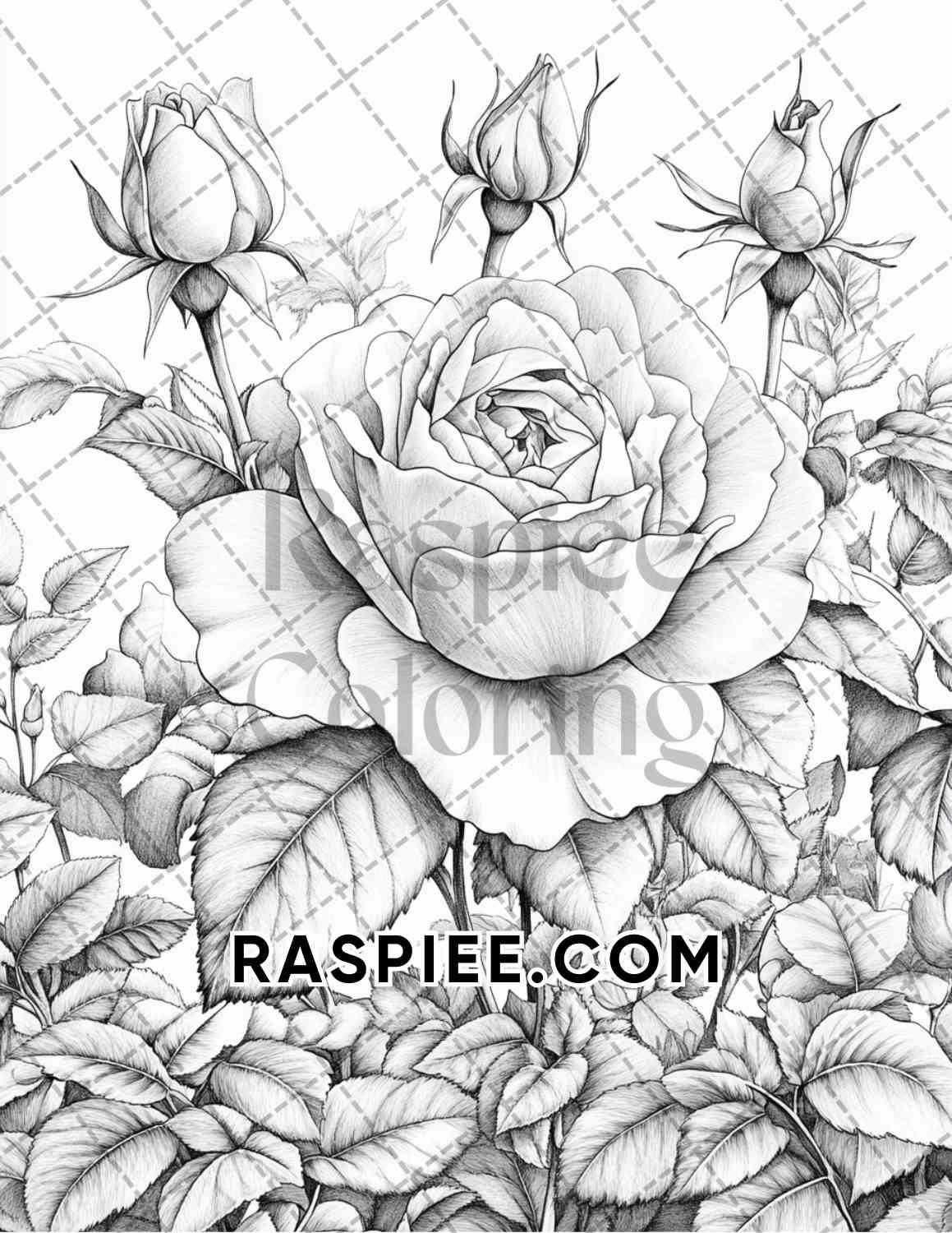 Seasonal Flowers Adult Coloring Pages Printable PDF Instant Download